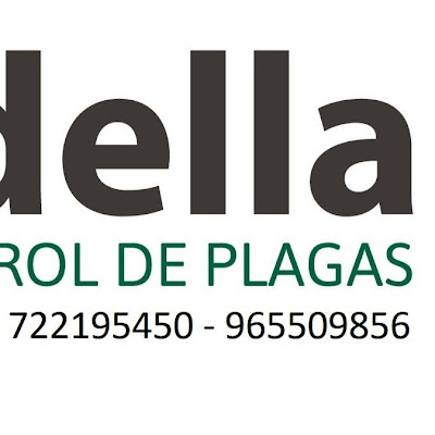 Logotip de GRUPO SERVIDELLA