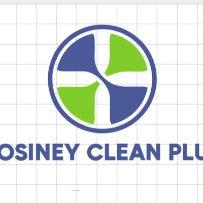 Logotipo de RosiNey Clean Plus