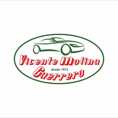 Logotip de Vicente Molina Guerrero, SL