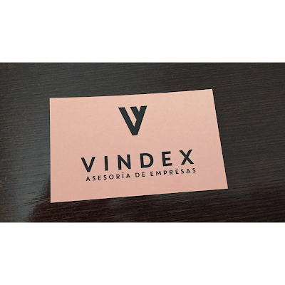 Logotipo de VINDEX Soporte Legal, S.L.