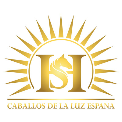 Logotipo de Hacienda Stein