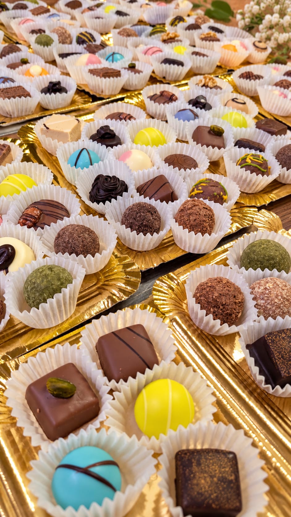 Surtido de bombones y trufas artesanas de autor de Pasteleria Fernando en Novelda