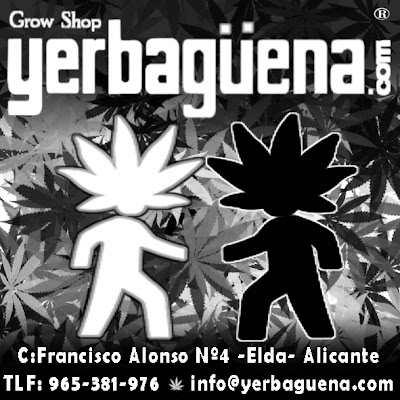 Logotip de Yerbagüena Grow Shop