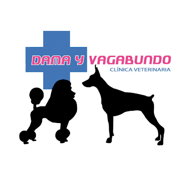 Logotip de Clínica Veterinaria Dama y Vagabundo