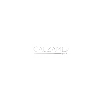 Logotipo de CALZAME