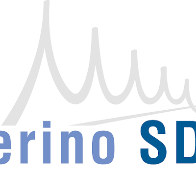 Logotip de Vellerino Sistemas de Impresión S.L.