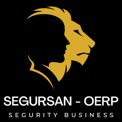 Logotipo de Segursan Oerp | Empresa de Alarmas y Videovigilancia