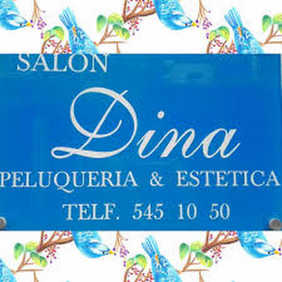 Logotipo de Peluqueria & Estetica Salon Dina