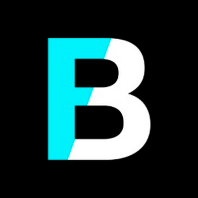 Logotip de Fran Bravo Gestión de Presencia en Internet