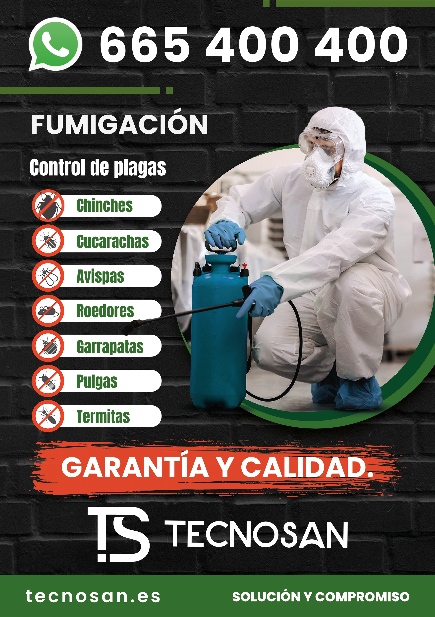 TECNOSAN Control de Plagas (Alicante), foto 1