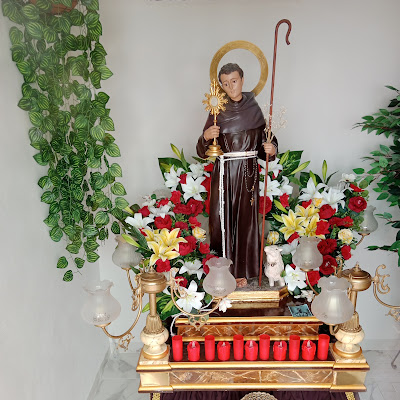 Logotip de San Pascual