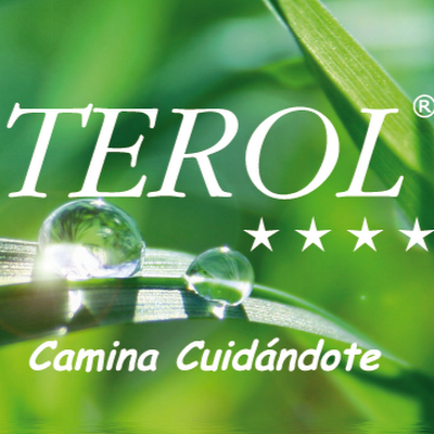 Logotip de TEROL