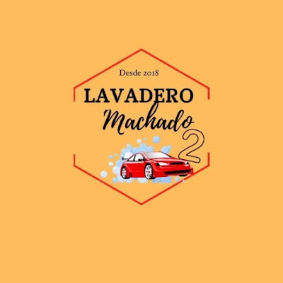 Logotip de Lavadero Nick Details