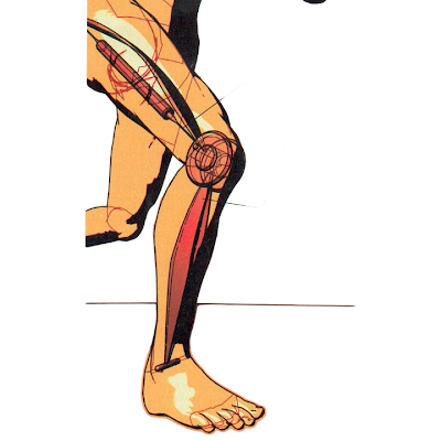 Logotipo de RVC ORTHOTIC LAB