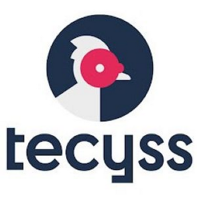 Logotip de Tecyss – Centro de Rehabilitación Neurológica